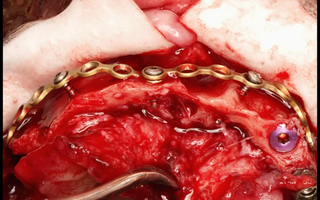 Юрий Гузеев | Клинический кейс YG-133